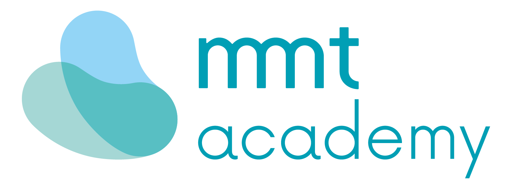 mmt academy
